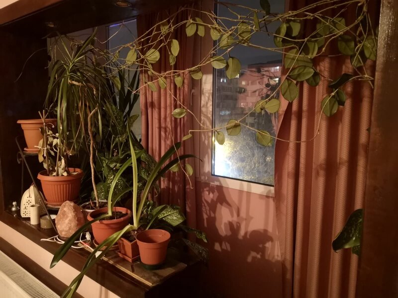 Piata Sudului, Soseaua Oltenitei, Mega Image Concept Store